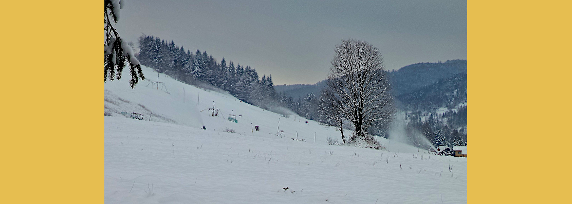 Zawoja-Chata-pod-Kwiatkiem